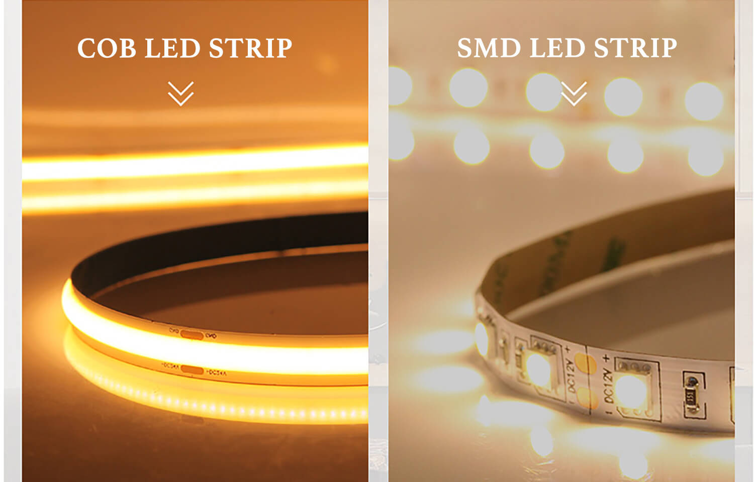 Cob Led Strip Lights A Comparison With Smds Led Myledy 